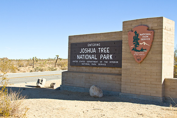 joshuatree09-2726