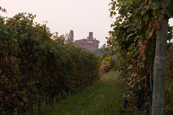 it-torino-2667