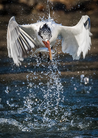 Wet lift off......