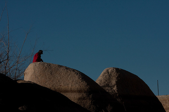 joshuatree09-0663