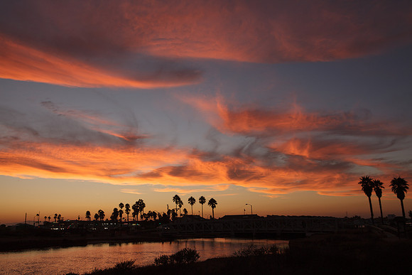 BolsaChica-2012-8859