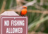 Standing guard