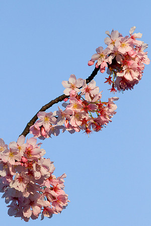 hb-lib-3844