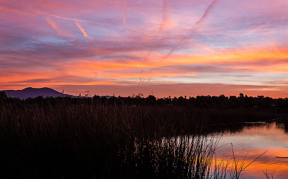 Colorful morning