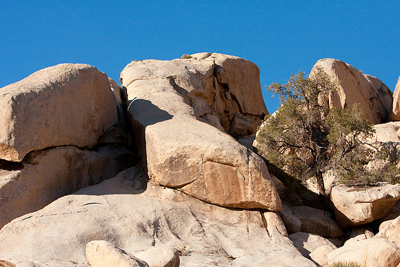 joshuatree09-0672