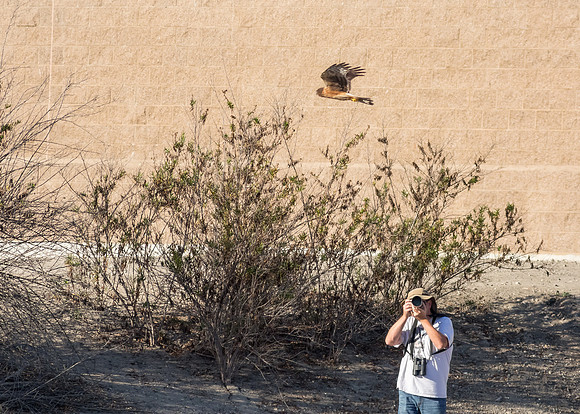 San Joaquin 2014-8378
