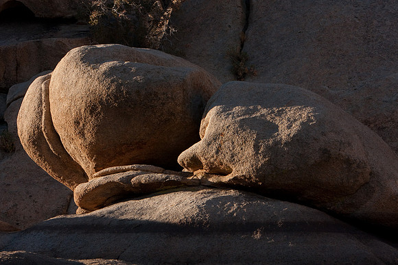 joshuatree09-0634