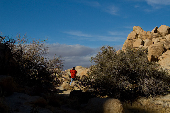 joshuatree09-2243