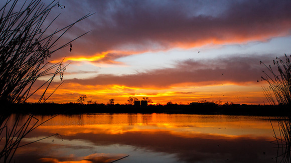 Blazing Sunset