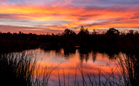 Predawn Colors