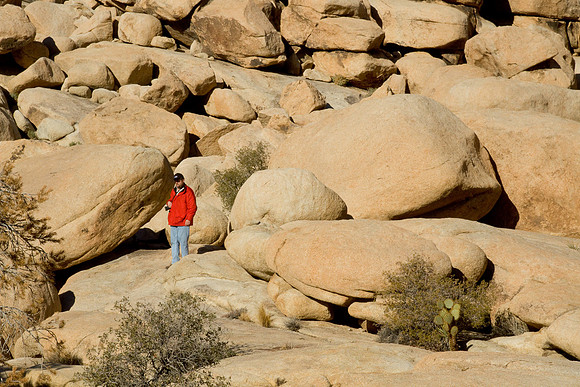 joshuatree09-2593