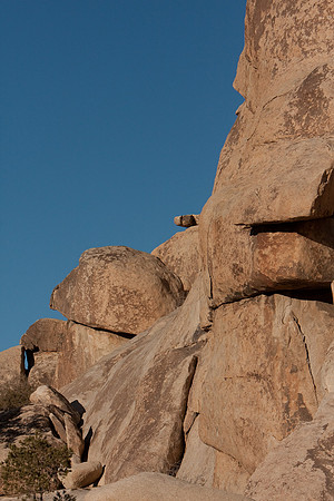 joshuatree09-0643