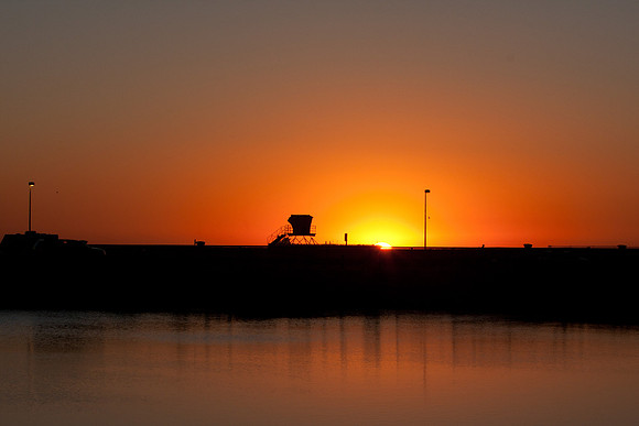 BolsaChica-4077