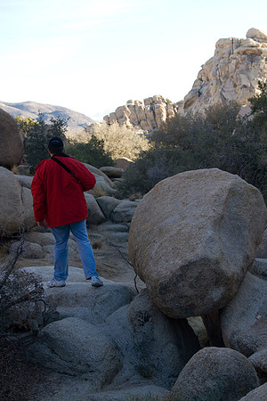 joshuatree09-2286