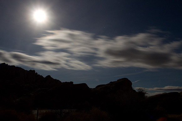 joshuatree09-2440