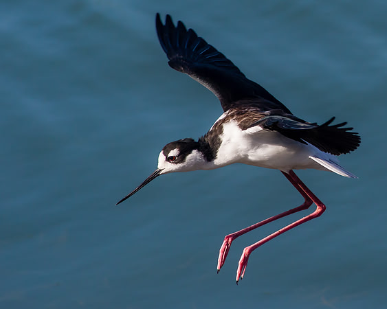 Visualize a good landing.....