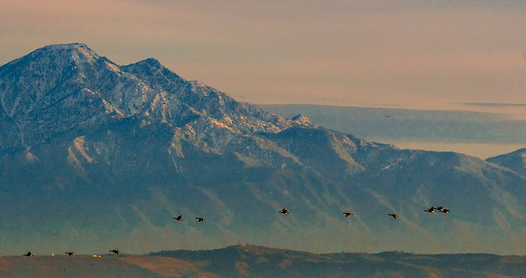 Morning flight