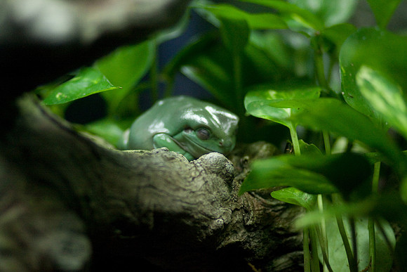 lb-aquarium-0439