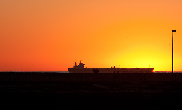 BolsaChica-4083
