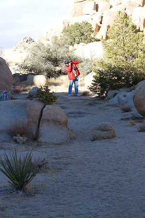 joshuatree09-2238