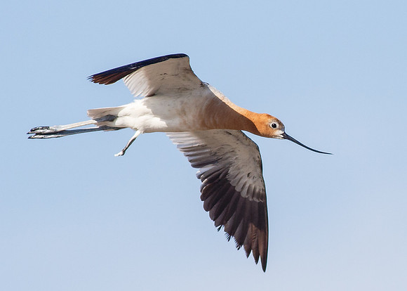In-flight release