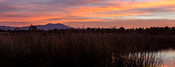 SanJoaquin-2015-0551