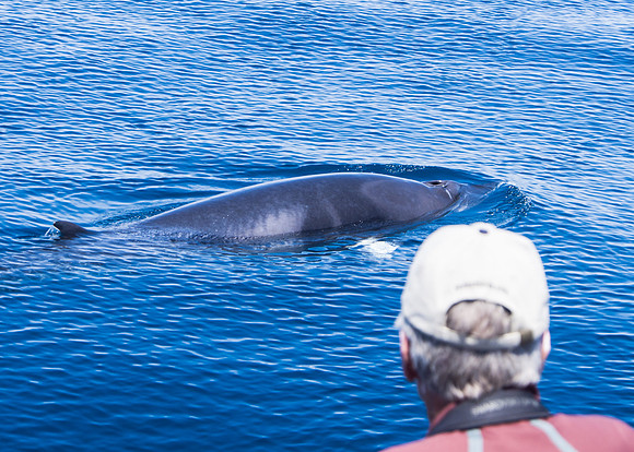 Spring Pelagic Trip