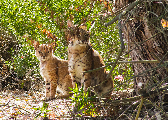 Hanging out with mom......