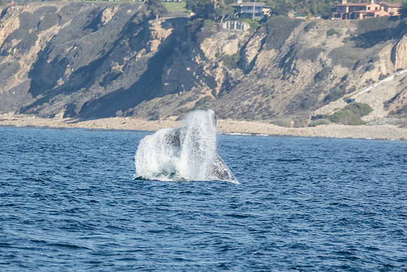 LA-San Pedro-2015-0098