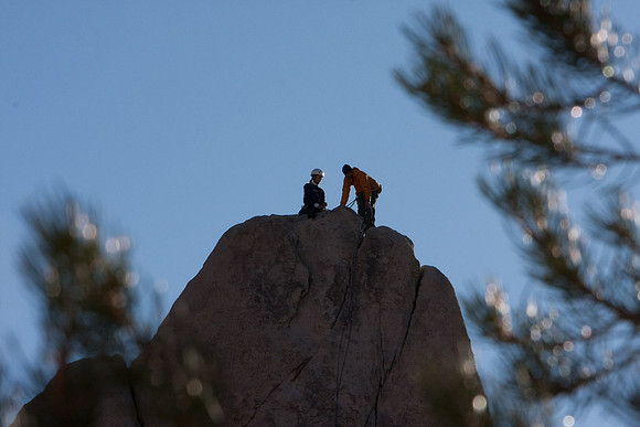 joshuatree09-0472