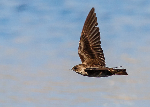 In-Flight