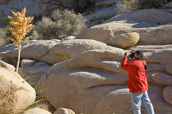 joshuatree09-2587