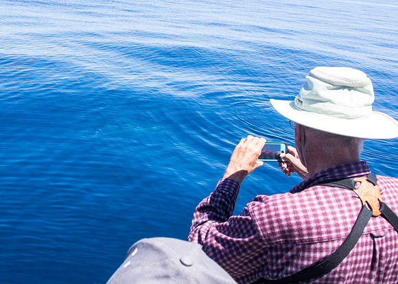 Spring Pelagic Trip