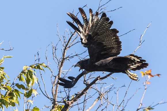 AZ-Tucson2015-4257