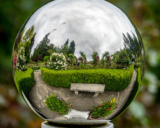 Rose Garden