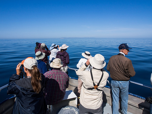 Spring Pelagic Trip