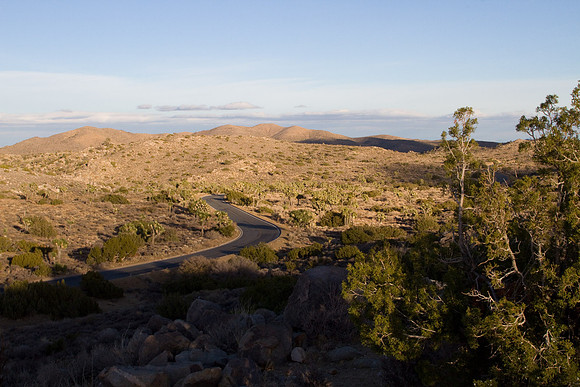 joshuatree09-2336