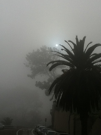 LaJolla2012-2962