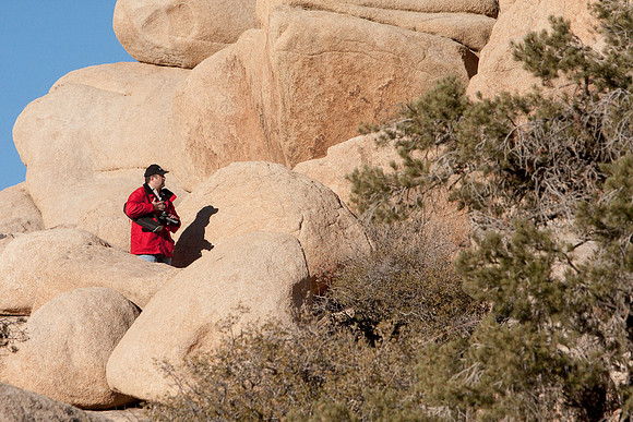 joshuatree09-0684