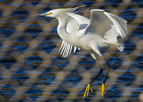 Fenced in flight
