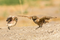 See mom I can do it too....