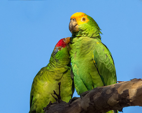 Happy couple....