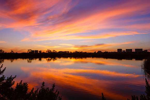 Nature's wish of a good evening...