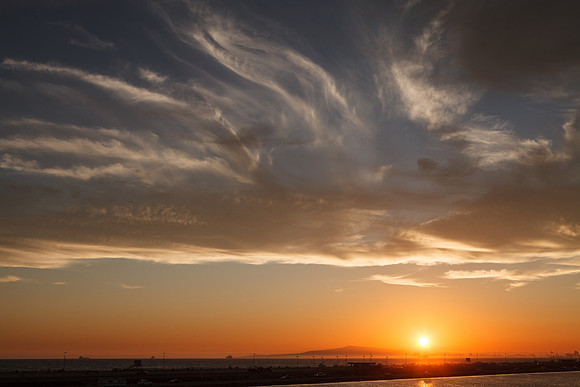 BolsaChica-2012-8829