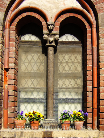window-italy3478