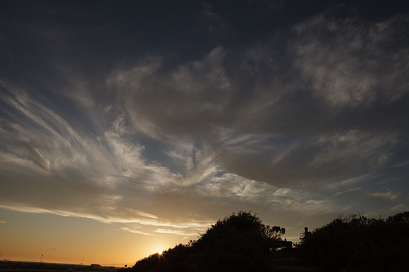 BolsaChica-2012-8793