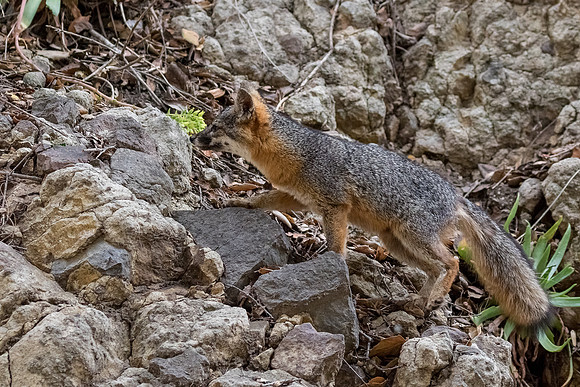 ChannelIslandsNP-0616-0845
