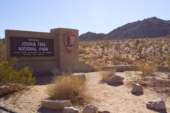 joshuatree09-2724