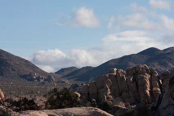 joshuatree09-0464