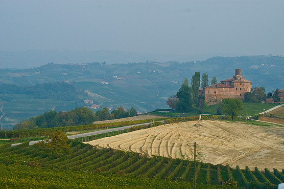 it-torino-0879